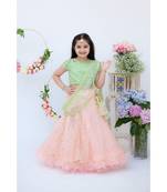 Green Embroidery Choli with Peach Boti Lehenga