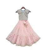 Blue Choli with Pink Boti net Lehenga