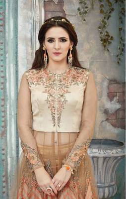 Beige fancy net salwar 2