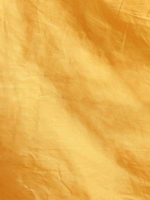 Yellow & Off-White Silk Cotton Printed Jamdani Saree 4