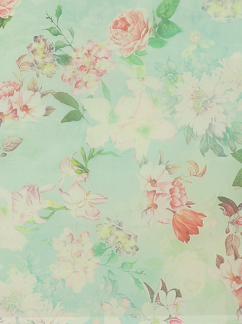 Green & Peach-Coloured Pure Silk Floral Print Celebrity Saree