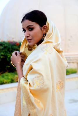 Beige woven banarasi silk saree with blouse 2