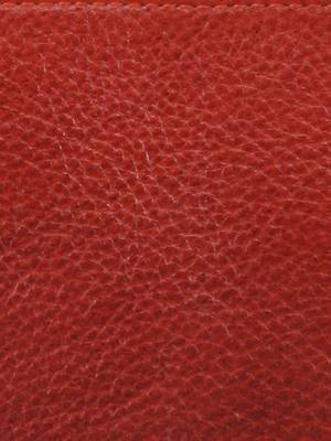 GENWAYNE Brown women   s handbag 5