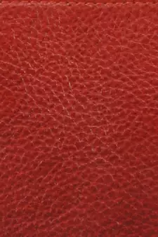GENWAYNE Brown women   s handbag