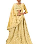 Gold embroidered net semi stitched lehenga