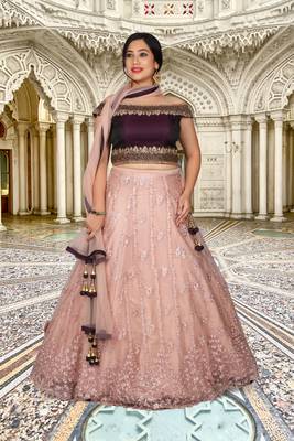 Wine Peach Hand Work Silk & Net Ethnic With Blouse 4