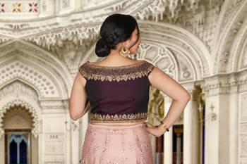 Wine Peach Hand Work Silk & Net Ethnic With Blouse 6