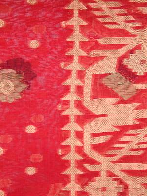 Red Hand Woven Pure Cotton Saree Without Blouse 4