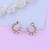 SILVER SHINE Party Wear Stylish Stud Earring For Women Girl