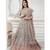 Heavy Net Indo Western Gowns