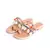 Conchas Multistrap