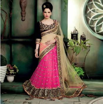 Beige and Pink Embroidered Net saree with blouse 1