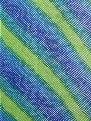 Shaily Women's Green & Blue Georgette Printed Saree 5