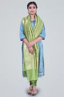 Banarasi Kataan Silk Floral Jaal Dupatta