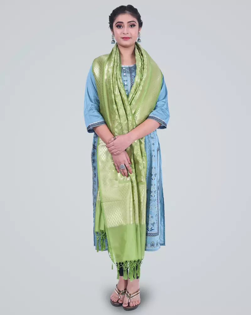 Banarasi Kataan Silk Floral Jaal Dupatta