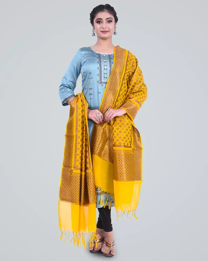 Banarasi Cotton Silk Zari Booti Dupatta