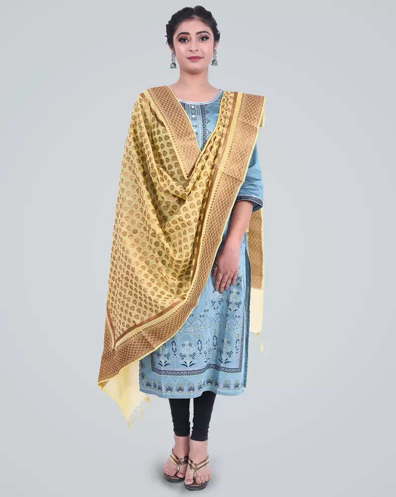 Banarasi Cotton Silk Zari Booti Dupatta