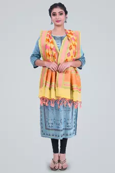 Banarasi Pure Chiffon Khaddi Meena Dupatta
