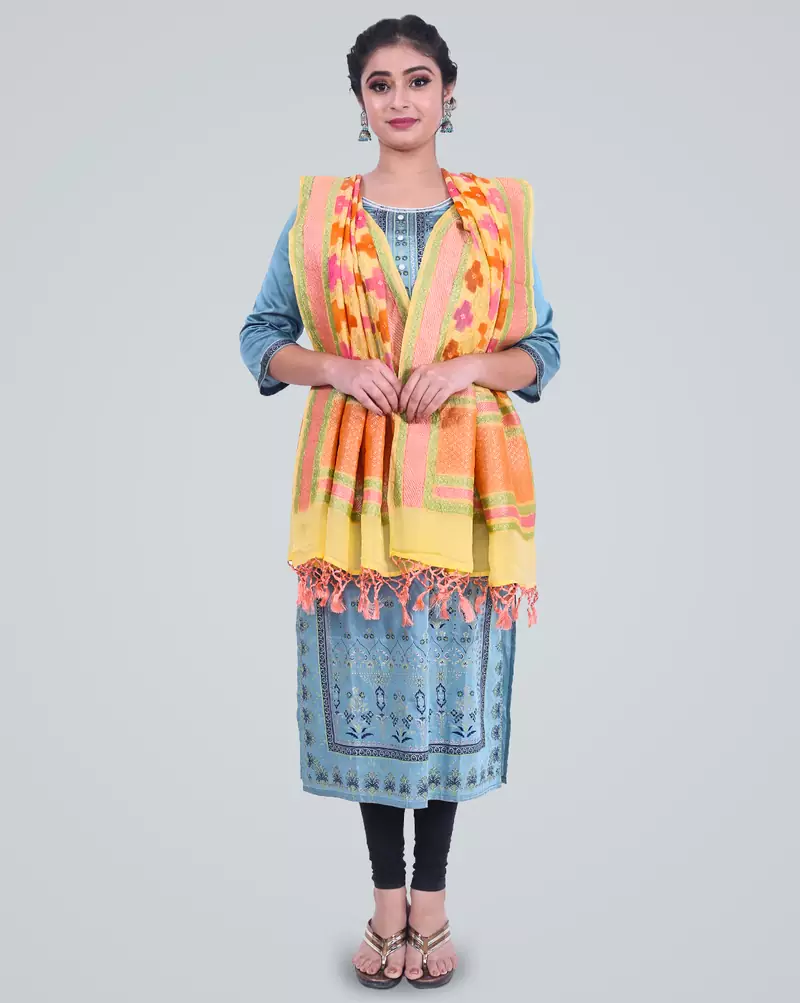 Banarasi Pure Chiffon Khaddi Meena Dupatta