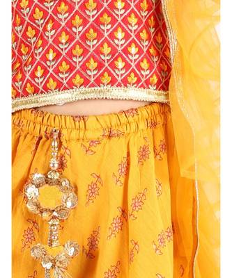 KID1 Sequin embroidered choli with silk lehenga and duppatt 5