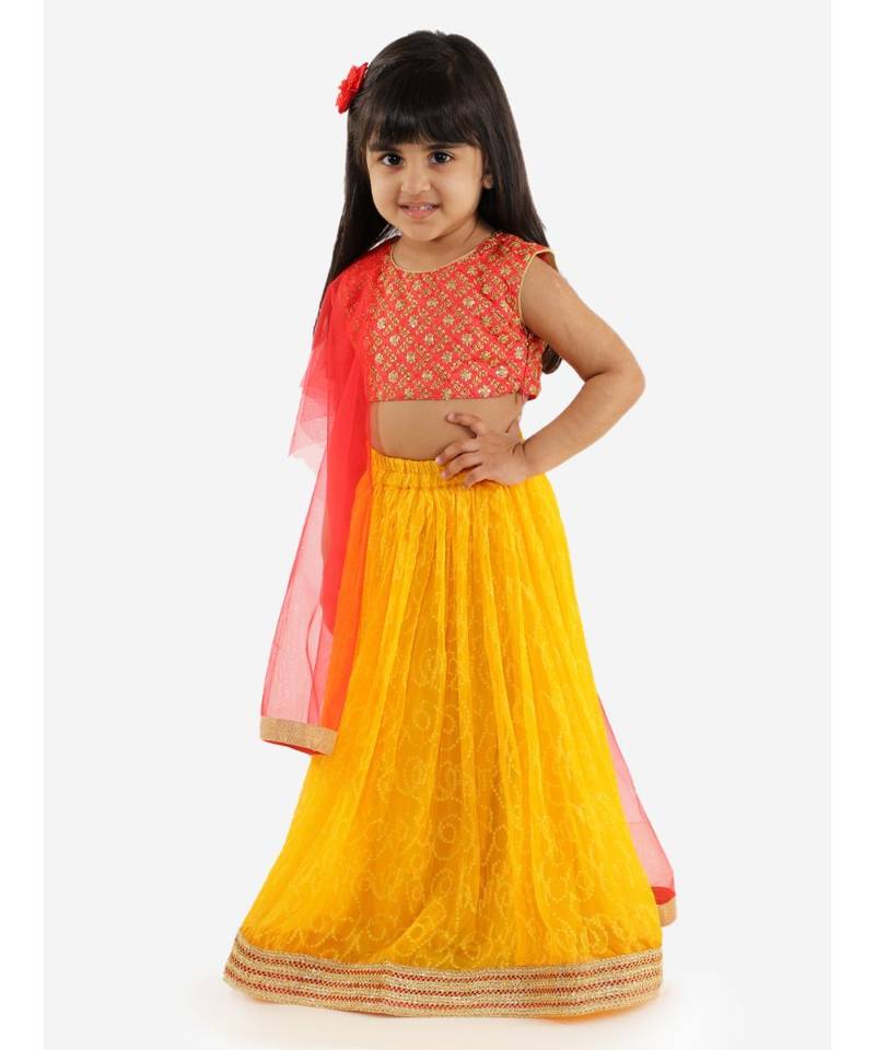 Lara Embroidered Choli With Bandhani Chiffon Lehenga