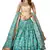 Sky-blue & Beige Dori, Zari, and Sequins embroidered & Floral organza Lehenga Choli for bride
