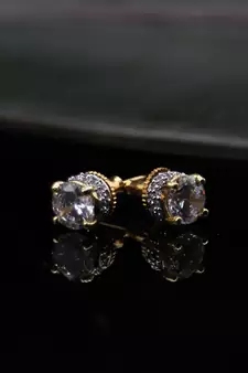 Rose Gold Alloy Earrings