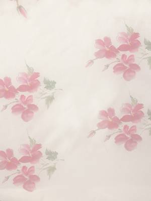 Off white printed organza saree with blouse 4