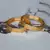 Gold Plated Designer Bangles Set Of 2