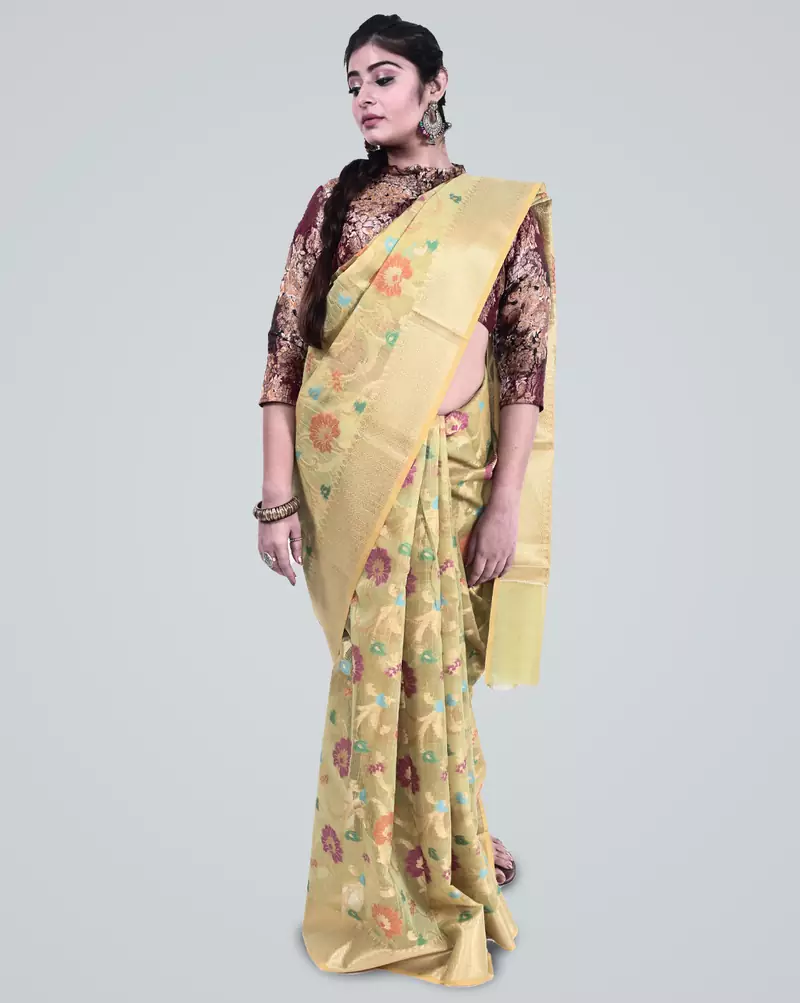 Cotton Silk Banrasi Meena Floral Jaal Saree