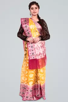 Organza Silk banarasi Meena Skirt Border Saree