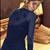 Blue embroidered net salwar