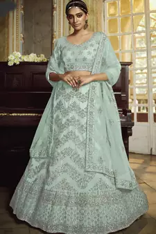 Sky-blue dori embroidered net Semi Stitched bridal lehenga