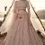 Peach thread embroidered organza Semi Stitched bridal lehenga
