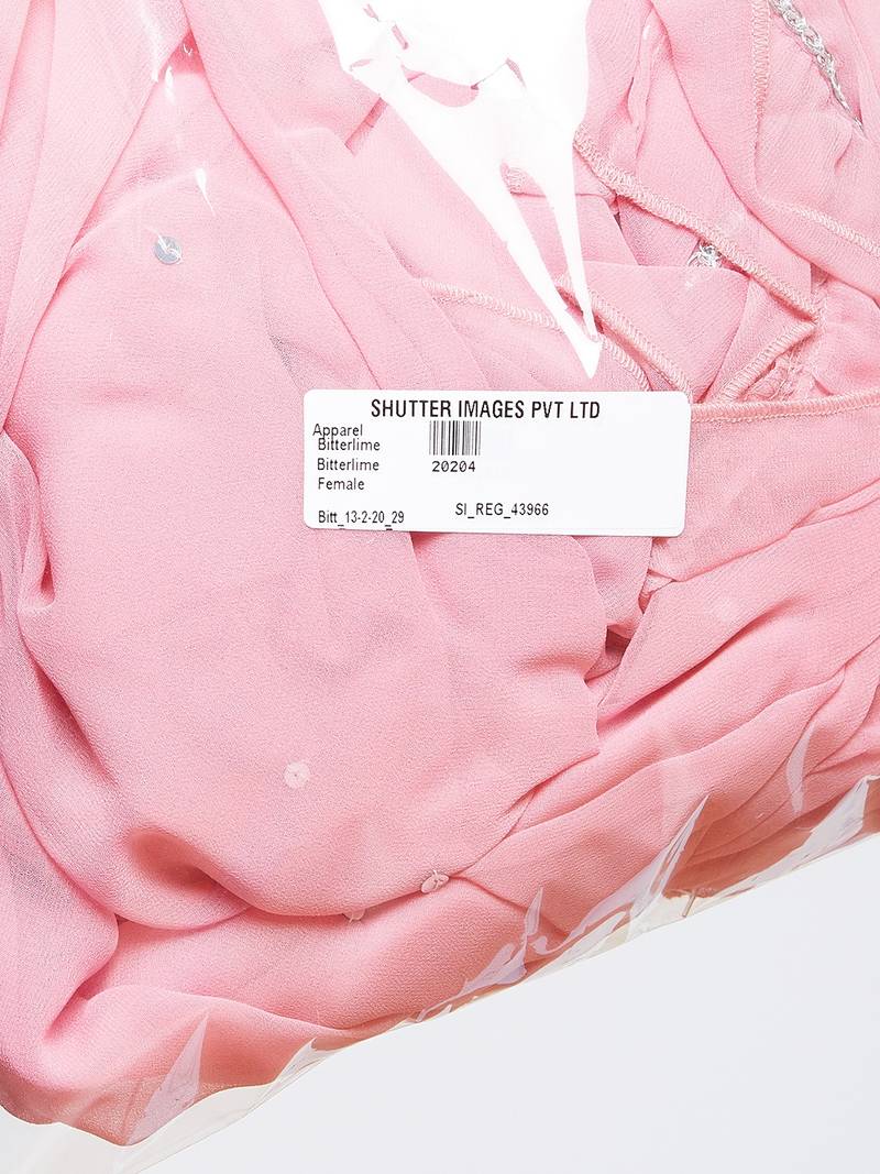 Sequinned Ruffled Dupatta