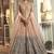 Cream Embroidery Butter Fly Net  Wedding Salwar Kameez