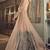 Cream Embroidery Butter Fly Net  Wedding Salwar Kameez