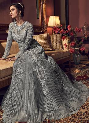 Grey Butter Fly Net  Wedding Salwar Kameez 2