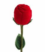 Red Rose Jewellery Ring Box 