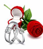 Platinum Plated CZ Adjustable Couple Finger Rings With Red Rose Gift Box for For Love 