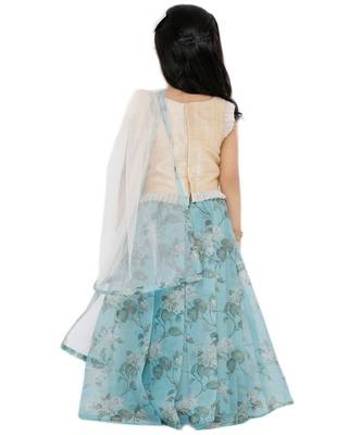 Girl'S Net Blue Lehenga Choli 2