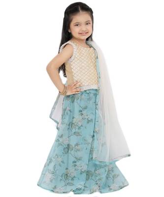 Girl'S Net Blue Lehenga Choli 3