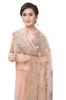 Peach Embroidered Net Saree With Blouse