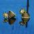 gold  plated Earrings