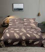 Nirwana Decor Aura bedsheets for Double Bed , Cotton Double bedsheet with 2 Pillow Covers . 90X100 Inches
