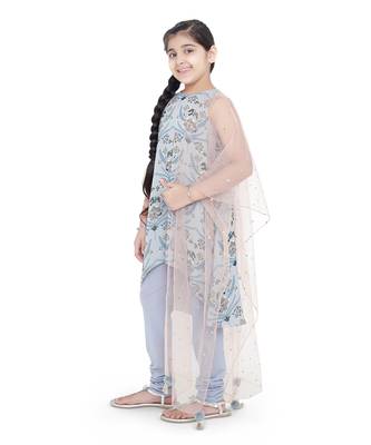 Printed Art Georgette Kigh Low Kurta with Pale Blue Colour Soft Net Churidar and Blush Colour Net Dupatta for Girls 2