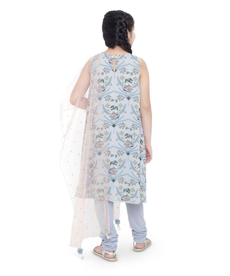 Printed Art Georgette Kigh Low Kurta with Pale Blue Colour Soft Net Churidar and Blush Colour Net Dupatta for Girls