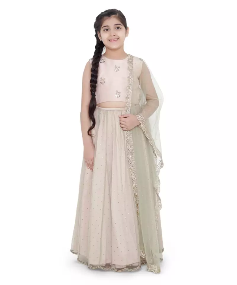 Silk Embroidered Choli with Mint Colour Mukaish Net and Blush Colour Silk Lehenga with Mint Colour Net Dupatta for Girls