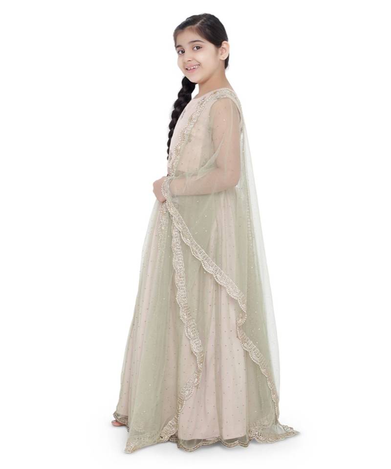 Silk Embroidered Choli with Mint Colour Mukaish Net and Blush Colour Silk Lehenga with Mint Colour Net Dupatta for Girls