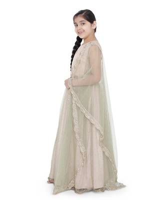 Silk Embroidered Choli with Mint Colour Mukaish Net and Blush Colour Silk Lehenga with Mint Colour Net Dupatta for Girls 2